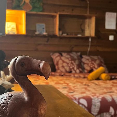 Dodo House Auberge De Jeunesse Saint-Leu Dış mekan fotoğraf