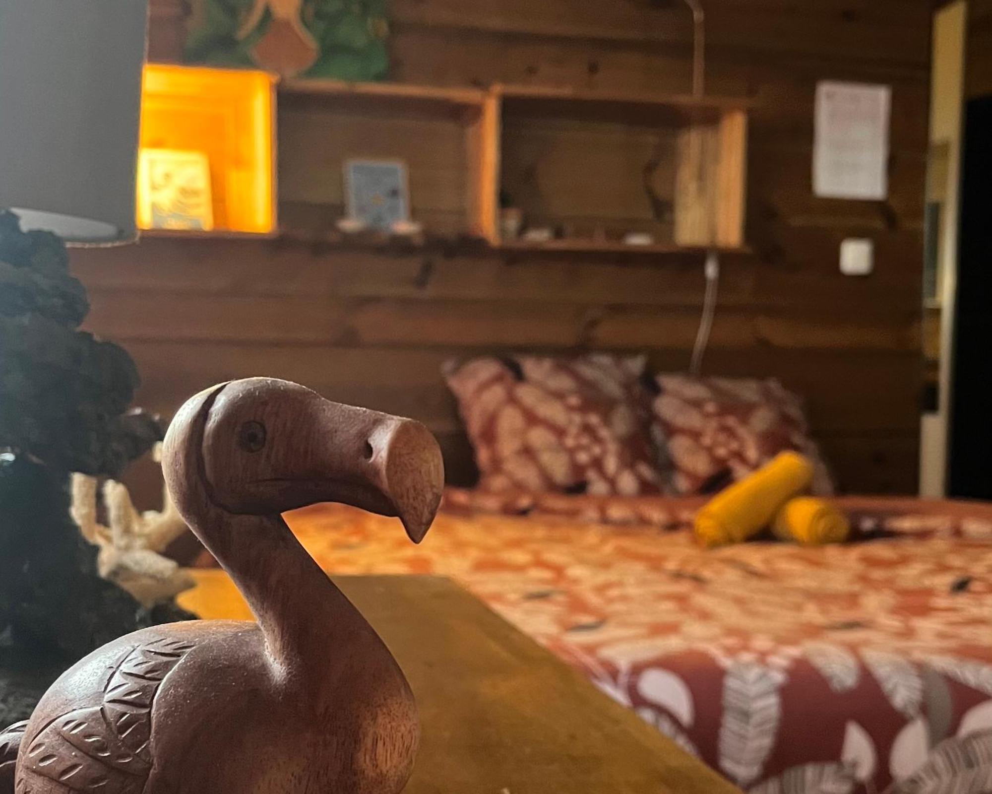 Dodo House Auberge De Jeunesse Saint-Leu Dış mekan fotoğraf